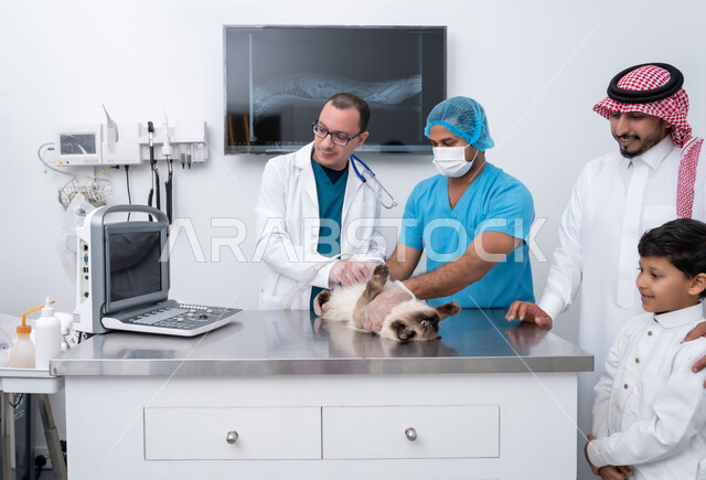 The importance of periodic medical examination, caring for and maintaining the health of domestic cats, visiting Saudi veterinary centers and clinics, the concept of caring for and caring for pets, a Saudi Arabian Gulf veterinarian treating and examining a small colored cat, a man wearing traditional clothing standing next to the nurse with an expression of pleasure