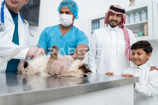 الاهتمام والمحافظة على صحة القطط المنزلية،زيارة المراكز والعيادات البيطرية السعودية، أهمية الفحص الطبي الدوري ، مفهوم الاهتمام والعناية بالحيوانات الاليفة، طبيب بيطري عربي خليجي سعودي يقوم بمعالجة وفحص قطة صغيرة, رجل يرتدي الثوب التقليدي يقف بجانب الممرض وولده بتعابير السرور