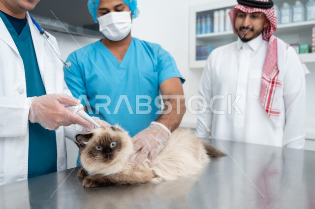 زيارة المراكز والعيادات البيطرية السعودية، الاهتمام والمحافظة على صحة القطط المنزلية، أهمية الفحص الطبي الدوري، مفهوم الاهتمام والعناية بالحيوانات الاليفة، طبيب بيطري عربي خليجي سعودي يقوم بمعالجة وفحص قطة صغيرة، رجل يرتدي الثوب التقليدي يقف بجانب الممرض بتعابير السرور