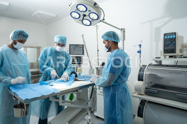 A team of specialized veterinary surgeons wearing sterile uniforms and a mask perform a small cat operation inside the operating room, a room equipped with all sterile medical tools and equipment in a veterinary clinic, the concept of health care, care and animal welfare.