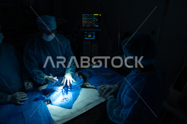 مفهوم الرعاية الصحية والعناية والرفق بالحيوان، حجرة مجهزة بكافة الأدوات والاجهزة الطبية المعقمة في عيادة بيطرية، فريق من الأطباء الجراحين البيطريين المختصين يرتدون اليونيفورم المعقم والكمامة يقومون بإجراء عملية لقطة صغيرة داخل غرفة العمليات
