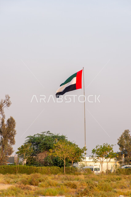 علم الإمارات العربية المتحدة يرفرف في سماء منطقة الخور في امارة دبي، يوم استقلال الإمارات، الإحتفال بالعيد الوطني الإماراتي، هوية اليوم الوطني الإماراتي 51 ، حب الوطن والعلم، المناطق الطبيعية الخضراء