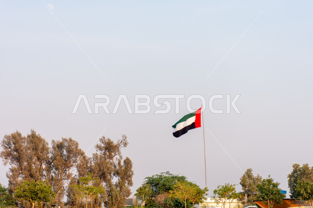 يوم استقلال الإمارات، علم الإمارات العربية المتحدة يرفرف في سماء منطقة الخور في امارة دبي، الإحتفال بالعيد الوطني الإماراتي، هوية اليوم الوطني الإماراتي 51 ، حب الوطن والعلم، المناطق الطبيعية الخضراء