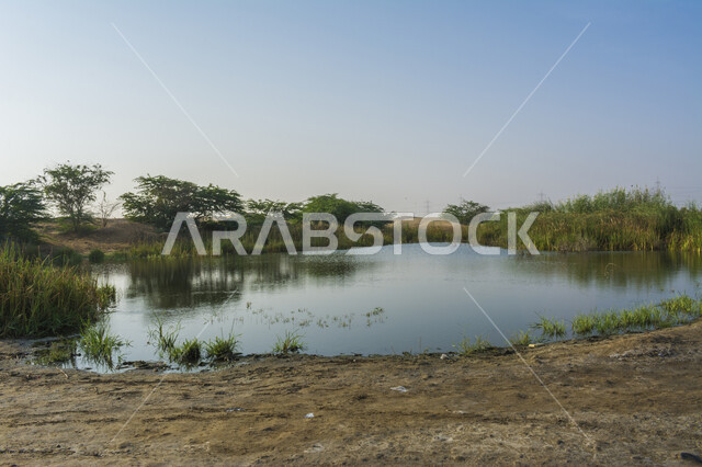 وادي من المياه محاط بالنباتات العشبية , الأشجار الخضراء المحيطة ببحيرة مائية ، أماكن و مناظر طبيعية في المملكة العربية السعودية