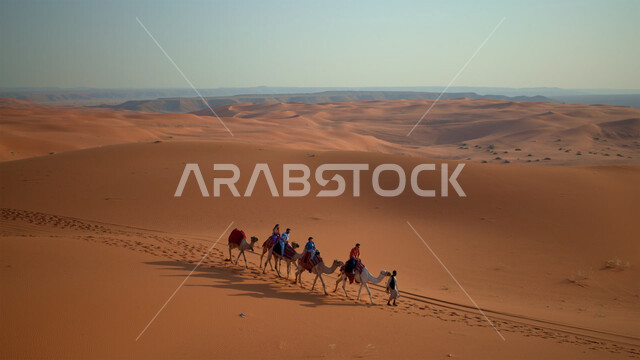 الحياة البدوية الشعبية والتنقل على ظهر الإبل في القدم، رعاية وتربية الثديات في الأماكن الطبيعية في السعودية، مجموعة من الجمال تسير فوق الكثبان الرملية في الصحراء، التلال والهضاب من الرمال الناعمة الذهبية، مناطق البادية والبيئة الصحراوية
