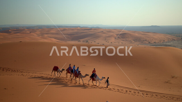 مجموعة من الجمال تسير فوق الكثبان الرملية في الصحراء، التلال والهضاب من الرمال الناعمة الذهبية، مناطق البادية والبيئة الصحراوية، الحياة البدوية الشعبية والتنقل على ظهر الإبل في القدم، تربية ورعاية الثديات في الأماكن الطبيعية في السعودية