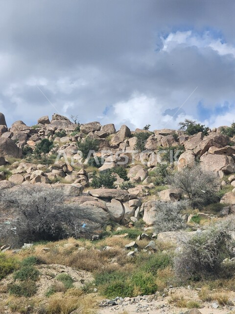 النباتات والأعشاب البرية، المناظر الطبيعية المتميزة، التشكيلات والتكوينات الصخرية، القمم والمرتفعات الجبلية في مكة المكرمة، معالم دينية مشهورة في المملكة العربية السعودية، معالم وأماكن إسلامية مقدسة، منظر الغيوم في السماء