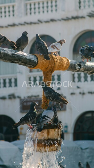 الأسواق الشعبية التقليدية القطرية, معالم سياحية مشهورة في دولة قطر, تجمع عدد من طيور الحمام والعصافير عند نافورة الماء, وجهات جذب واستقطاب السياح من أنحاء العالم