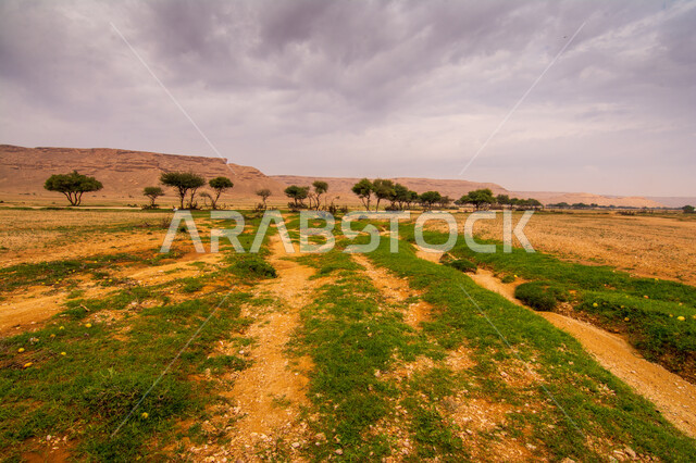 سلسلة جبال طويق في الرياض في المملكه العربيه السعوديه, مطل الجراند كانيون حافة نهاية العالم, مناطق سياحيه مميزه في الرياض, منظر الغيوم في السماء الزرقاء، النباتات ومساحات المروج الخضراء.