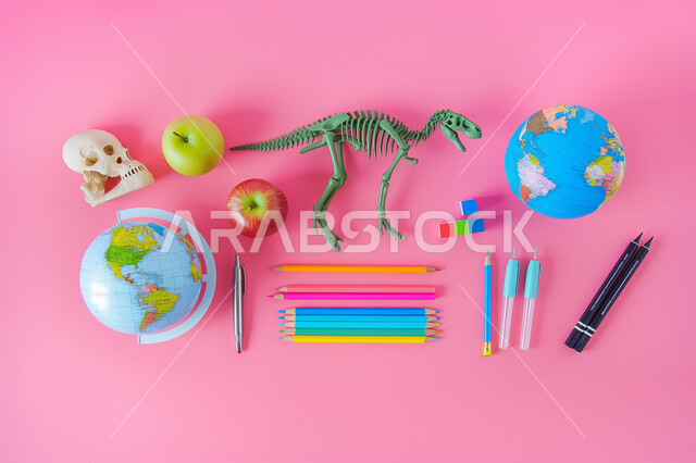 تحضير وتجهيز المستلزمات والأغراض المدرسية، موسم العودة إلى المدارس، مجموعة من الأقلام والقرطاسية والمجسمات على الطاولة، مفهوم الجغرافيا وتاريخ العصور القديمة والعلوم الصحية، خلفية وردية