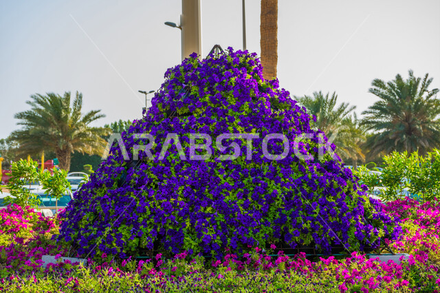 حقول الورود الملونة في مهرجان الزهور والحدائق، الحفاظ على البيئة والتنمية المستدامة،  وجهه عائلية بيئية ثقافية وترفيهية، الديكورات والتصاميم في حديقة مدينة ينبع الصناعية، معارض ومهرجانات طبيعية سياحية في المملكة العربية السعودية