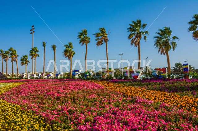 أشجار النخيل المحاطة بالحديقة، الحفاظ على البيئة والتنمية المستدامة، حقول الورود الملونة في مهرجان الزهور والحدائق، وجهه عائلية بيئية ثقافية وترفيهية، الديكورات والتصاميم في حديقة مدينة ينبع الصناعية، معارض ومهرجانات طبيعية سياحية في المملكة العربية السعودية