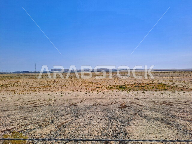 نمو النباتات الخضراء البرية في الصحراء, منظر السماء الزرقاء الصافية في وقت النهار، الطبيعة الصحراوية في أبو ظبي، واحات فارغة بالقرب من المدن السكنية