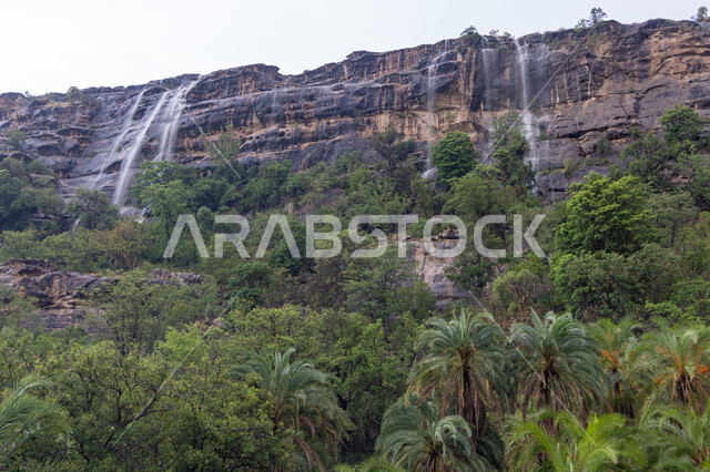 الشلالات المائية الطبيعية على السفوح والمنحدرات الجبلية، الاهتمام بالتشجير وزراعة النباتات الخضراء، المدرجات الزراعيه في جبال الربوعة في منطقة عسير، معالم وأماكن سياحية مشهورة, المناظر الطبيعية المتميزة في المملكة العربية السعودية