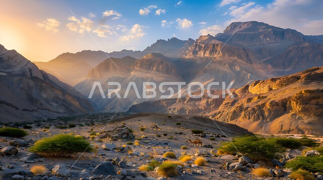الطبيعة الجبلية في المملكة العربية السعودية, التكوينات والتشكيلات الصخرية, التضاريس في مناطق القمم والمرتفعات عند شروق الشمس, الاستمتاع بالمناظر الطبيعية في الأماكن السياحة، مناطق الرحلات والمغامرات وقضاء الوقت الممتع