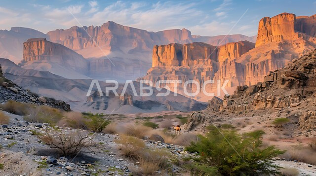 مناطق الرحلات والمغامرات وقضاء الوقت الممتع, الطبيعة الجبلية في المملكة العربية السعودية, التكوينات والتشكيلات الصخرية, التضاريس في مناطق القمم والمرتفعات عند شروق الشمس, الاستمتاع بالمناظر الطبيعية في الأماكن السياحة