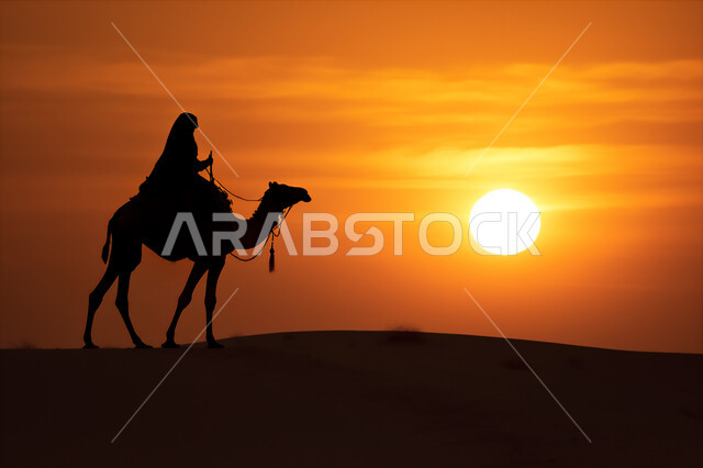 المواصلات ووسائل النقل القديمة، ضوء القمر في السماء، التنقل على حيوان الابل في المملكة العربية السعودية، الصحراء العربيه في وقت الليل، رعايه وتربيه المواشي, صورة ظلية لراعي عربي خليجي سعودي يمتطي الجمل فوق الرمال الذهبية الناعمه، سالوييت