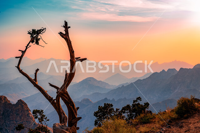 جبال الشفا في مدينة الطائف بالمملكة العربية السعودية وقت غروب الشمس، التكوينات والتشطيلات الصخرية في منطقة الطائف, أماكن ومناطق سياحية مشهورة، الاستمتاع بمنظر الطبيعة الجبلية 