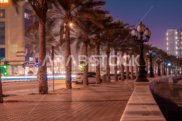 الاهتمام بزراعة أشجار النخيل والنباتات الخضراء، المنشآت والأبراج المضيئة ليلا المطلة على الخليج العربي، استقطاب وجذب السياح الى الأماكن السياحية المشهورة، كورنيش بحيرة الخان في مدينة الشارقة بالامارات العربية المتحدة، اطلالة على وجهة المجاز البحرية