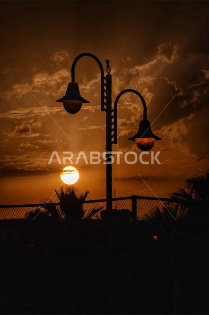 تدعيم الطرقات وتقديم الخدمات العامة، صورة ظليلية لعمود الانارة في احدى شوارع نجران في المملكة العربية السعودية ، إضاءة وإنارة الشارع، منظر الاشجار والنباتات الخضراء، سالوليت