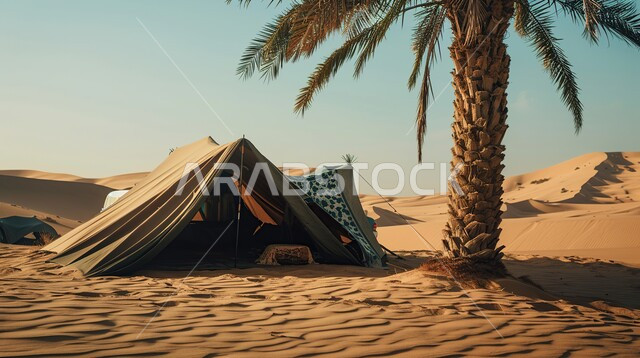 خيمة بدوية شعبية وسط الصحراء، قضاء أوقات ممتعة بالتخييم في صحاري المملكة العربية السعودية, جلسة بر شبابية تحت شجرة نخيل، التضاريس والرمال الذهبية الناعمة في وضح النهار، مخيمات سياحية في المناطق البرية