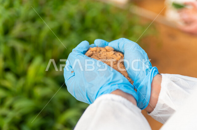 A Saudi Arabian Gulf agricultural engineer, wearing medical protective clothing, holding soil in his hands, soil examination, monitoring and follow-up