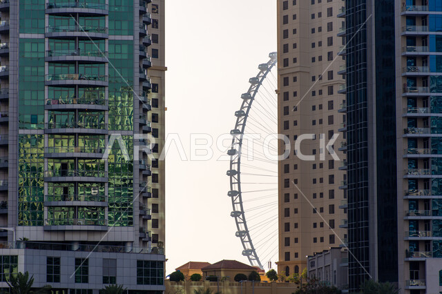 التقدم والنمو والتوسع العمراني، صورة لعجلة عين دبي بين المباني وقت الغروب، الفن الهندسي المعماري للمنشآت ، معالم دبي السياحية، الأبراج وناطحات السحاب في دولة الإمارات العربية المتحدة 
