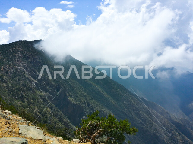  الطرق الحجرية الوعرة، البيئة الجبلية لمنطقة أبها في عسير، الطبيعة الخضراء والمنتزهات والحدائق الجميلة، سلاسل الجبال الصخرية والقمم العالية، التضاريس والأشجار والنباتات المغطية لسفوح الجبل، أماكن طبيعية للمغامرات ورحلات السفاري، الاستمتاع والتأمل والاستجمام 