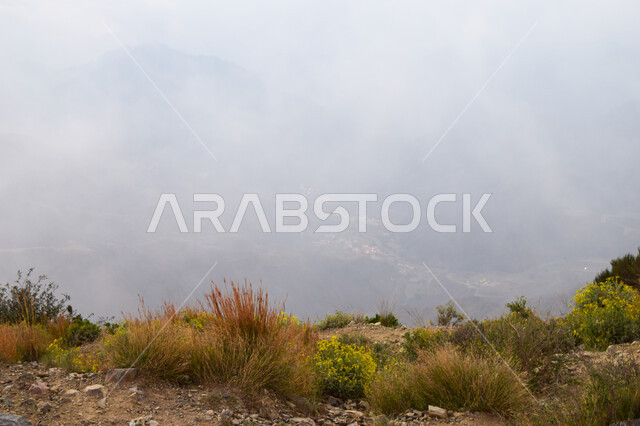 الأشجار والنباتات المغطية لسفوح الجبل، التضاريس والطرق الحجرية الوعرة، البيئة الجبلية لمنطقة أبها في عسير، الطبيعة الخضراء والمنتزهات والحدائق الجميلة، سلاسل الجبال الصخرية والقمم العالية، أماكن طبيعية للمغامرات ورحلات السفاري، الاستمتاع والتأمل والاستجمام