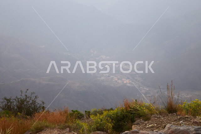 الأشجار والنباتات المغطية لسفوح الجبل، التضاريس والطرق الحجرية الوعرة، البيئة الجبلية لمنطقة أبها في عسير، الطبيعة الخضراء والمنتزهات والحدائق الجميلة، سلاسل الجبال الصخرية والقمم العالية، أماكن طبيعية للمغامرات ورحلات السفاري، الاستمتاع والتأمل والاستجمام