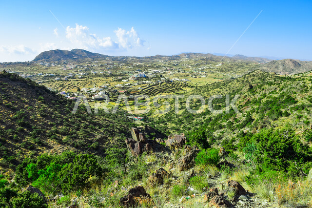 الأشجار والنباتات المغطية لسفوح الجبل، التضاريس والطرق الحجرية الوعرة، البيئة الجبلية لمنطقة أبها في عسير، الطبيعة الخضراء والمنتزهات والحدائق الجميلة، سلاسل الجبال الصخرية والقمم العالية، أماكن طبيعية للمغامرات ورحلات السفاري، الاستمتاع والتأمل والاستجمام