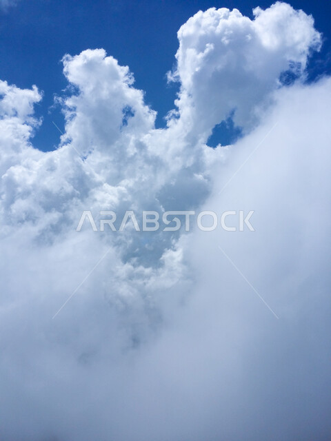 الغيوم البيضاء والسحب المغطية سلاسل الجبال الصخرية والقمم العالية، التضاريس والبيئة الجبلية لمنطقة أبها في عسير، الطبيعة الخضراء والمنتزهات، الأشجار والنباتات المغطية لسفوح الجبل، أماكن طبيعية للمغامرات ورحلات السفاري، الاستمتاع بالأوقات في التأمل والاستجمام