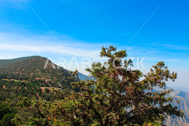 Natural places for adventures and safari trips, the mountainous environment of the Abha region in Asir, the green nature and beautiful parks, rocky mountain ranges and high peaks, the terrain, trees and plants covering the mountain slopes, the cable car suspended in the air between the two mountains to attract tourists and visitors
