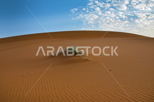 البيئة الطبيعية الخليجية الجافة، تشكل الكثبان والقمم الرملية في الصحاري, المساحات الصحراوية الشاسعة الممتدة على طول الأفق, مشهد لتداخل ألوان رمال الصحراء الذهبية اللامعة مع خلفية السماء الزرقاء الملبدة بالغيوم 