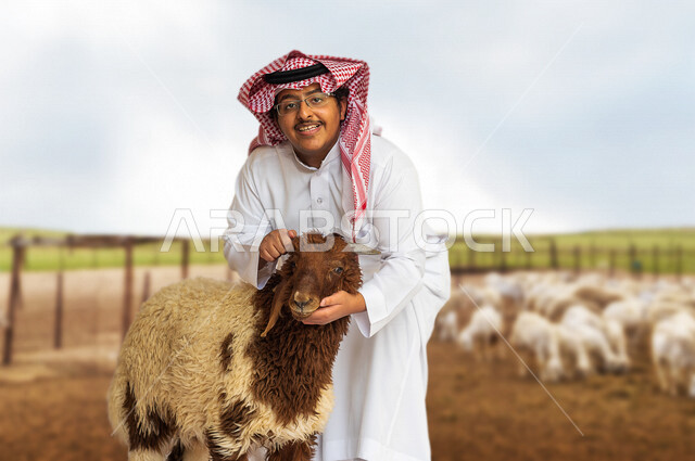 رجل عربي خليجي سعودي يقف بجانب الغنمة وهو مبتسم بإيماءات وجه ويدين مختلفة ، يرتدي زي سعودي تقليدي مع شماغ وعقال ،  صورة مقربة لخروف العيد ، أضحية عيد الأضحى المبارك ، لحم ضاني ، رعي الغنم في المملكة العربية السعودية ، مزارع لتربية الحيوانات