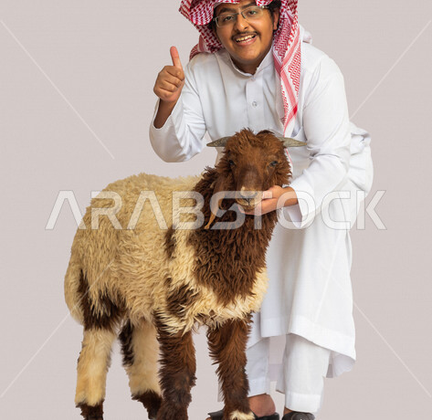 بورتريه لرجل عربي خليجي سعودي يقوم بجلسات تصوير بجانب الغنمة بإيماءات وجه ويدين مختلفة ، يرتدي زي سعودي تقليدي مع شماغ وعقال ،  صورة مقربة لخروف العيد ، أضحية عيد الأضحى المبارك ، لحم ضاني ، رعي الغنم في المملكة العربية السعودية ، خلفية بيضاء