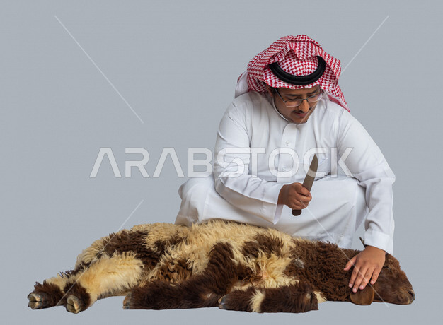 بورتريه لرجل عربي خليجي سعودي يمسك سكينه يقوم بذبح الغنمة ، يرتدي زي سعودي تقليدي مع شماغ وعقال ، صورة مقربة لخروف العيد ، أضحية عيد الأضحى المبارك ، لحم ضاني ، رعي الغنم في المملكة العربية السعودية ، خلفية بيضاء