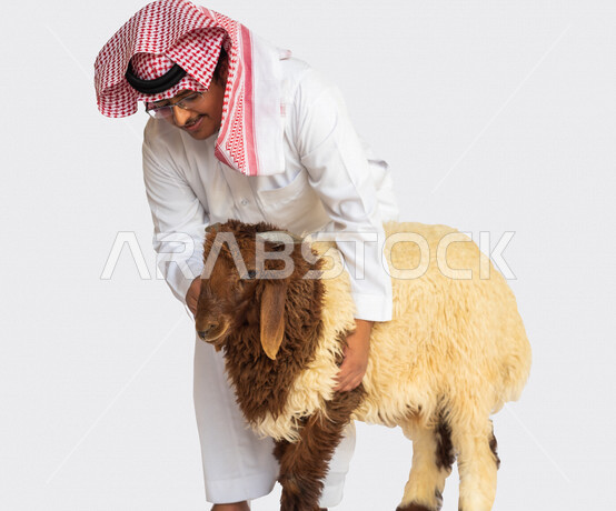 Portrait of a Saudi Arabian Gulf Arab man standing next to a sheep with different facial and hand gestures, wearing a traditional Saudi costume with shemagh and agal, close-up of Eid sheep, Eid al-Adha sacrifice, lamb, sheep grazing in Saudi Arabia, white
