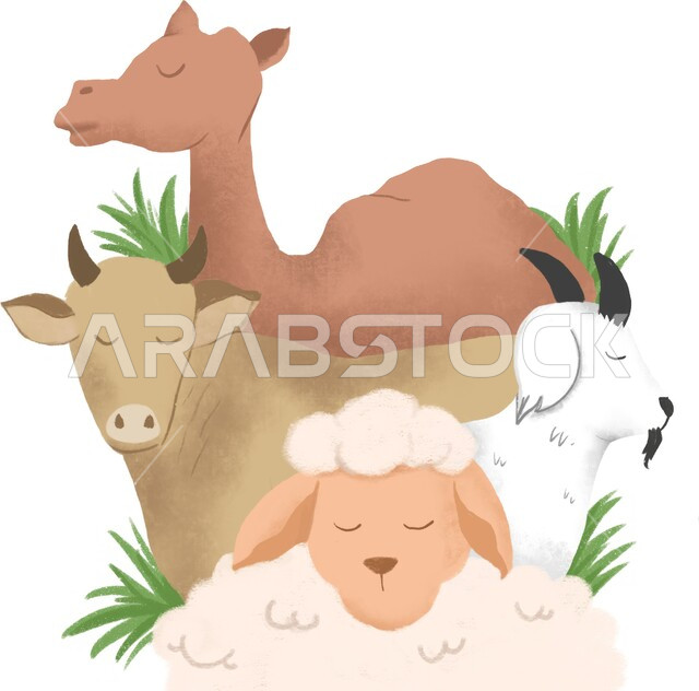 أضحية وقربان وذبائح عيد الأضحى المبارك، المناسبات والأعياد الاسلامية، مزارع ومحميات طبيعية لتربية المواشي في السعودية، الاهتمام بالثدييات والعناية بها في المملكة، صورة لمجموعة من الحيوانات تنام معاَ, خلفية بيضاء