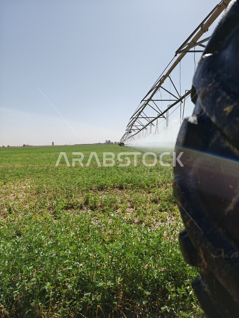 الاهتمام بالزراعة والتشجير وتوسيع المساحات الخضراء، صورة لمزرعة كبيرة في منطقة حائل بالمملكة العربية السعودية، منتجات محلية ومحاصيل زراعية ذات جودة عالية، الأراضي الزراعية الخصبة في السعودية