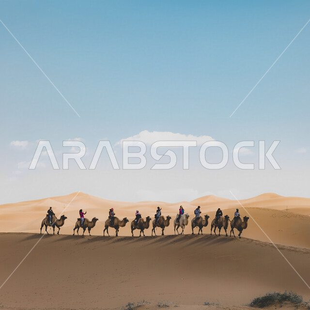 The natural desert environment of the Kingdom of Saudi Arabia, the dry desert areas, a group of tourist travelers sitting on the back of a camel caravan walking over the sand dunes of the Great Arabian Desert, popular Bedouin life and travel on camel backs in ancient times