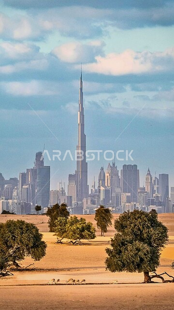 التقدم الهندسي المعماري في إنشاء المدن وتحسين البنية التحتية، التضاريس والبيئة الجافة للامارات العربية المتحدة، النمو والتطور العمراني في بناء الأبراج وناطحات السحاب، صورة تمزج بين التطوير والحداثة مع الطبيعة الصحراوية، خلفية برج خلفية المشهور في مدينة دبي
