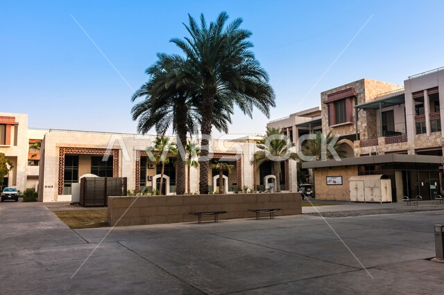 سكن الطلاب في حرم جامعة الملك عبدالله للعلوم والتقنية في ثول, الفن الهندسي المعماري على الطراز الحديث، المعالم المشهورة في المملكة العربية السعودية