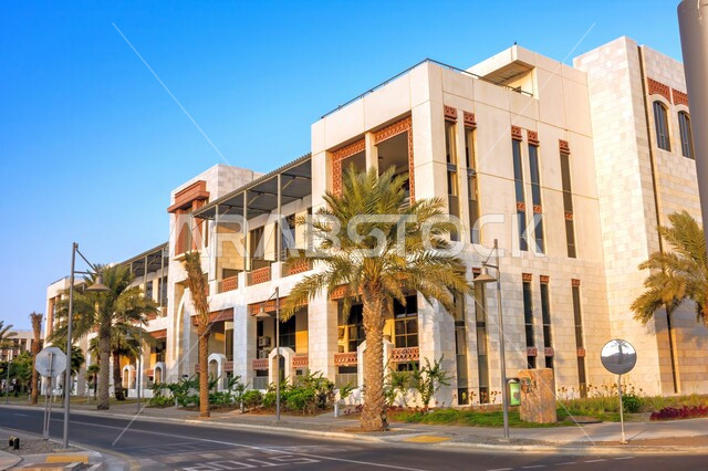المعالم المشهورة في المملكة العربية السعودية, سكن أعضاء هيئة التدريس في حرم جامعة الملك عبدالله للعلوم والتقنية في ثول، الفن الهندسي المعماري على الطراز الحديث