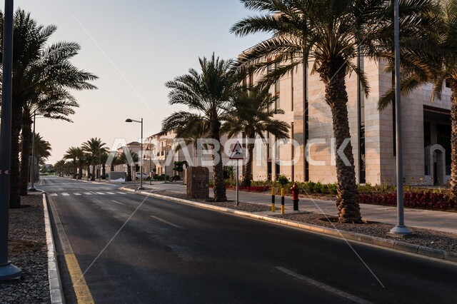 الاهتمام بزراعة الأشجار على طرفي الطريق, سكن أعضاء هيئة التدريس في حرم جامعة الملك عبدالله للعلوم والتقنية في ثول في جدة, الفن الهندسي المعماري على الطراز الحديث، المعالم المشهورة في المملكة العربية السعودية