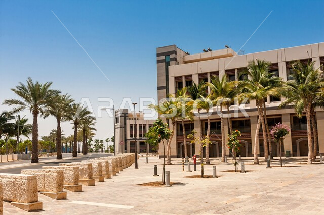 الاهتمام بزراعة الأشجار في الجامعات, شارع الاستكشاف في حرم جامعة الملك عبدالله للعلوم والتقنية في ثول، الفن الهندسي المعماري على الطراز الحديث، المعالم المشهورة في المملكة العربية السعودية