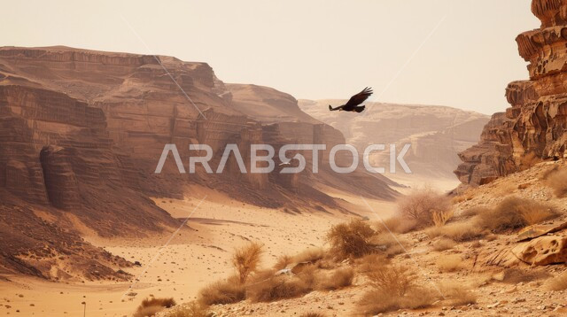 إقامة نادي الصقور في المملكة العربية السعودية
