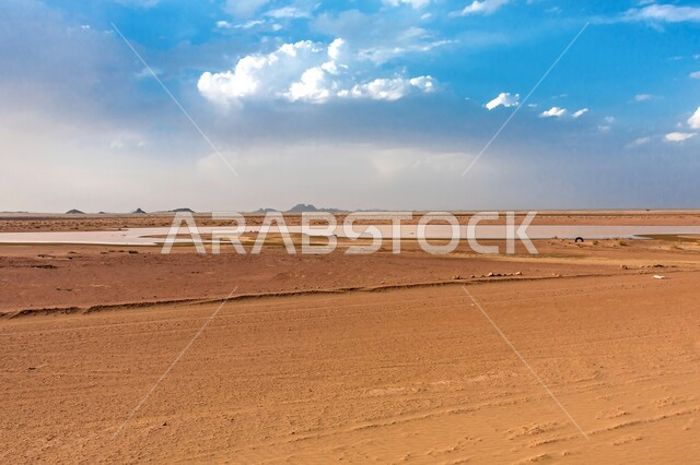 منظر الغيوم والسحب البيضاء في السماء، مناطق البادية والبيئة الطبيعية الصحراوية في المملكة العربية السعودية، النمو الطبيعي للنباتات البرية في الصحراء