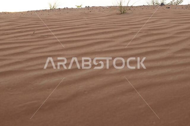 مناطق البادية والبيئة الصحراوية الطبيعية في إمارة دبي، التكوينات والتشكيلات من الرمال في صحراء الامارات العربية المتحدة، الهضاب والتلال الرملية الذهبية الناعمة