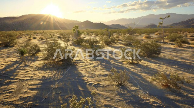 المناطق الصحراوية وقت غروب الشمس ، الكثبان الرملية في المملكة،  صحراء شبه الجزيرة العربية ، الرمال الذهبية الناعمة، منظر الغيوم في السماء وقت الغروب